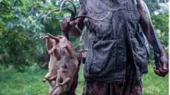 A lo aworan yii fun akawe lasan ni, kii sẹ ti ọdẹ to yinbọn paayan nipinlẹ Osun.