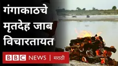 कोरोना मृत्यू गंगा नदी