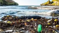 Beach plastic