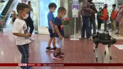 လက်ဆေးရည် လိုက်ပေးတဲ့ စက်ရုပ်ခွေးတွေနဲ့ ကလစ် နည်းပညာ အစီအစဉ်