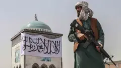 طالبان، افغانستان