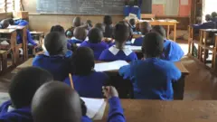 Ụmụakwụkwọ na-akuzi onwe ha