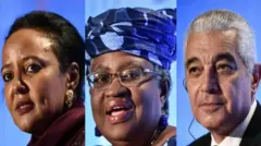 ثلاثة أفارقة بينهم مصري من أقرب المرشحين لرئاسة المنظمة