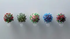 የቫይረስ ምሥሎች