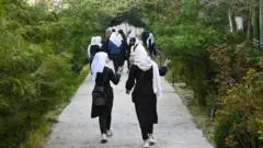 نجونې