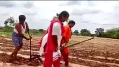 ਕੋਰੋਨਾਵਾਇਰਸ