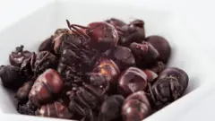 經製作的大臀螞蟻蟻后