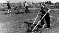 ఇజ్రాయెల్ మోడల్