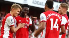 Arsenal goal