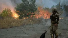 Пожежа на Луганщині