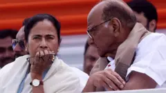 ममता - पवार