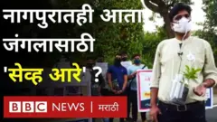 nagpur