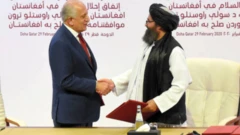 طالبان