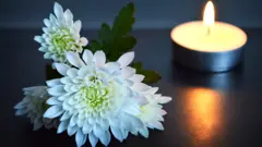 白菊與蠟燭