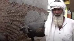 हरियाणा कोरोना