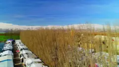 صورة من برنامج "دنيانا"