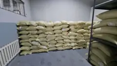 Кўкнори қаердан келгани айтилмаяпти