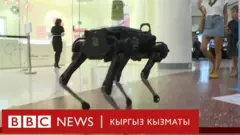 Ит