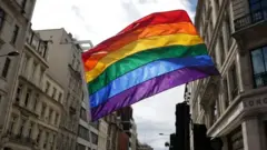lgbt bayragı