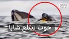 حوت يبتلع شابا.. ثم حدثت معجزة!