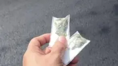 İçindəki bitki olan paketlər