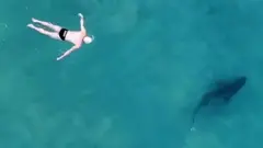 Мужчина и акула в воде