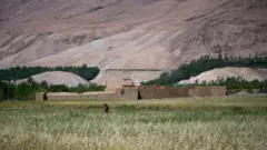 ولسوالی زیباک دور افتاده و چوب سوخت اصلی مردم این محل را تشکیل می دهد