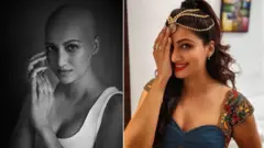 హంసా నందిని HAMSA NANDINI
