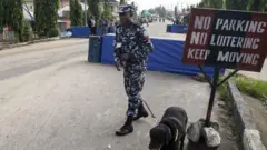 Jami'in tsaro da kare