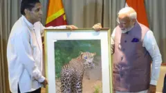 శ్రీలంక, నరేంద్ర మోదీ, చిరుతపులి, వన్యప్రాణి