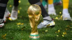 The World Cup trophy