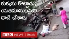 కుక్క మొరుగుతోందని ఇనుప రాడ్డుతో దాడి