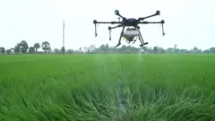 drone