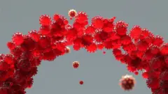 የኦሚክሮን ዲጂታል ምስል