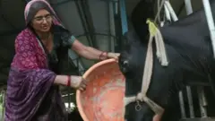 ਕਨੁਬੇਨ ਚੌਧਰੀ