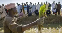 Aworan awọn Agbẹ