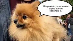 Марш за тварин 2019