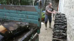 Корсиканцы запасаются альтернативным топливом