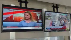 টেলিভিশন