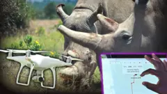 Composite image of rhino, drone and laptop