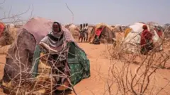 ተመዛበልቲ
