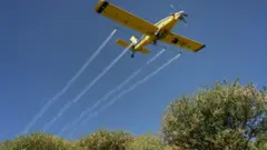 Inzige zibasiye ibihugu byinshi byo mu karere k'Afurika y'uburasirazuba