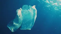 પ્લાસ્ટિકનો ઉપયોગ