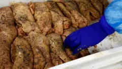 Foie gras