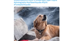 اسکرین شات از توییت نادرست