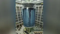 Akvarijum pre eksplozije