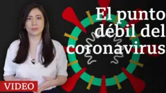 El punto débil del coronavirus