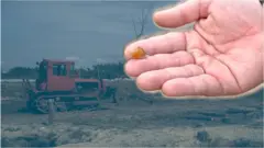 видобуток бурштину