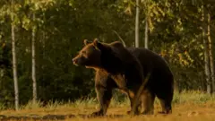 Артур