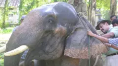 डॉ. कुशल कुंवर शर्मा
